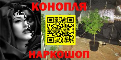 ПСИЛОЦИБИНОВЫЕ ГРИБЫ Славгород