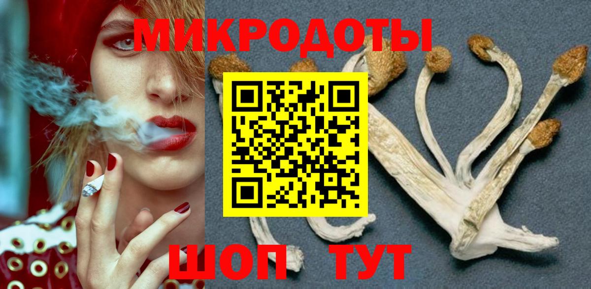 Псилоцибиновые грибы Psilocybine cubensis  Вход с VPN  Псилоцибиновые грибы мицелий  Тамбов 