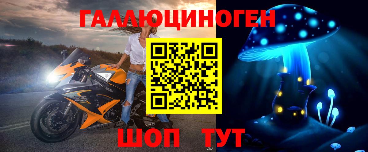 Псилоцибиновые грибы Psilocybe Тамбов