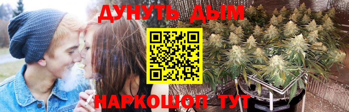 Конопля тримм  Вход с VPN  Каннабис план  МАРИХУАНА VHQ  Тамбов 